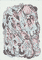 abstraction-bodily-functions-2-2025-nsfw